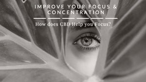 Use CBD to Improve Your Focus & Concentration