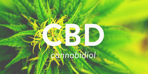 A Bit About Cannabidiol (CBD)