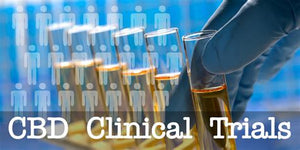 Clinical and Pre-Clinical Trials of CBD Show Significant Promise.