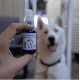 NoHiCBD Pet Calming CBD Oral Spray (Zero THC)